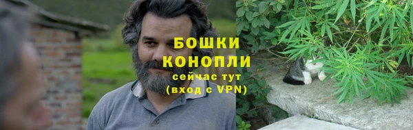 шишки Горнозаводск
