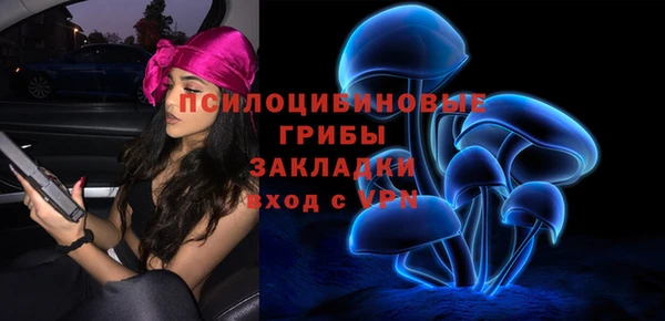 гашик Горно-Алтайск