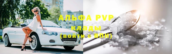 твердый Горняк