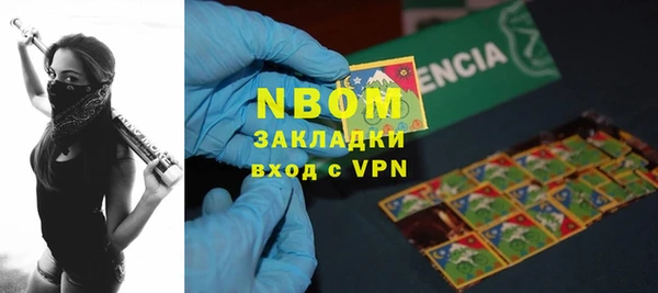 шишки Горнозаводск
