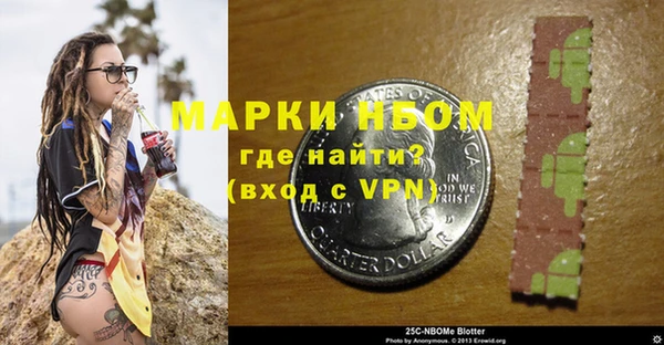 твердый Горняк