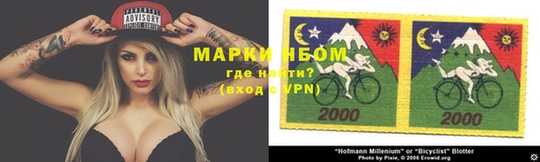 шишки Горнозаводск