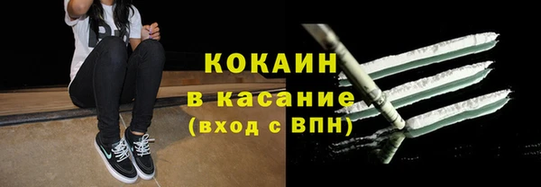 твердый Горняк