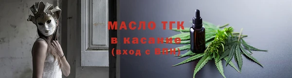 твердый Горняк