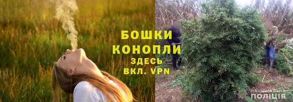 гашик Горно-Алтайск