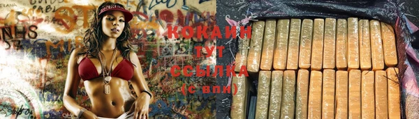 шишки Горнозаводск