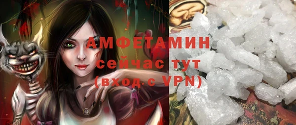 твердый Горняк