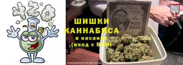 шишки Горнозаводск