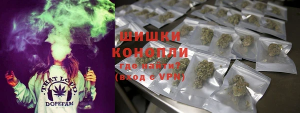 шишки Горнозаводск